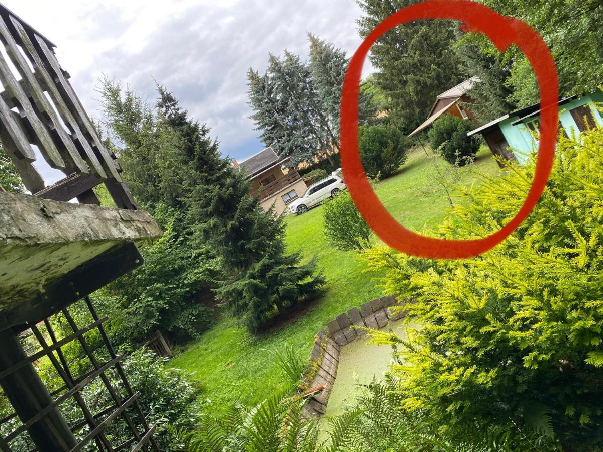 Waldfrieden Bungalow Garnsdorf المظهر الخارجي الصورة