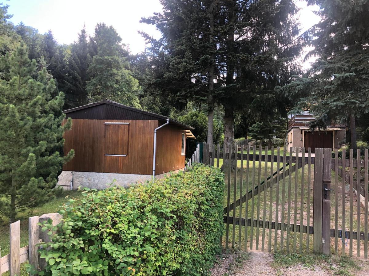 Waldfrieden Bungalow Garnsdorf المظهر الخارجي الصورة