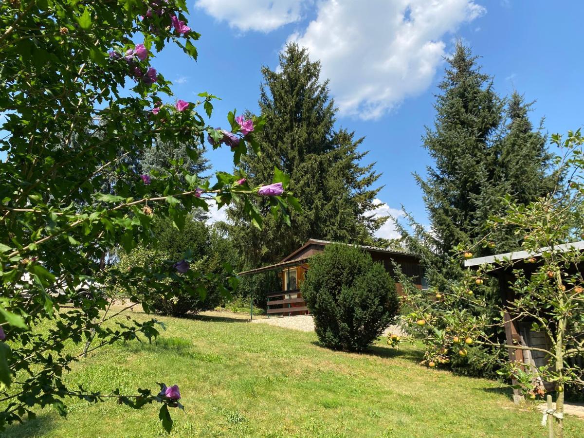 Waldfrieden Bungalow Garnsdorf المظهر الخارجي الصورة